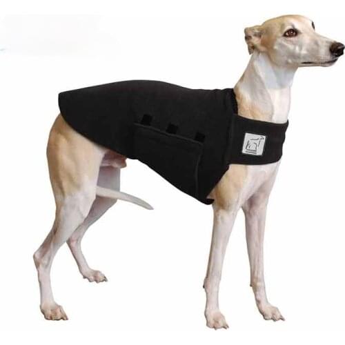 Cute Naughty Whippet Tummy Warmer Dog Vest Motorcycle Car Stickers DIY Waterproof Anime Decals Vinyl Material Decoration