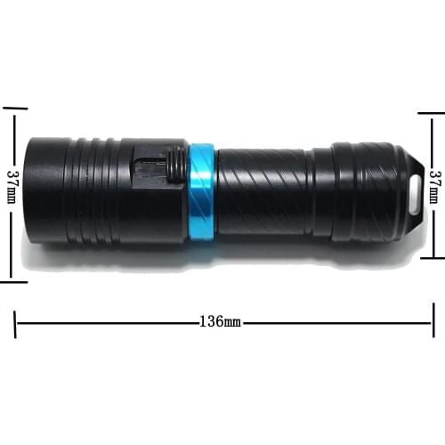 SCUBA BROTHERS Lighting