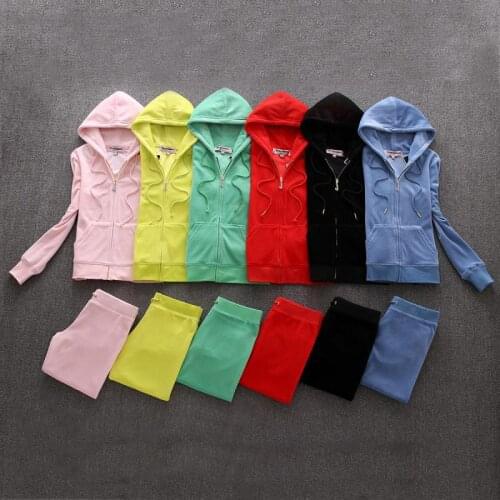 Spring/Fall 2021 Womens Velvet Fabric Tracksuits Velour Suit Women Track Suit Hoodies And Pants fat sister sportswear