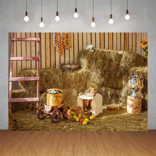 Vinyl Photographic Backgrounds for Photo Studio Halloween Barn Hay Apples Children Baby Portrait Backdrops Photocall Photobooth