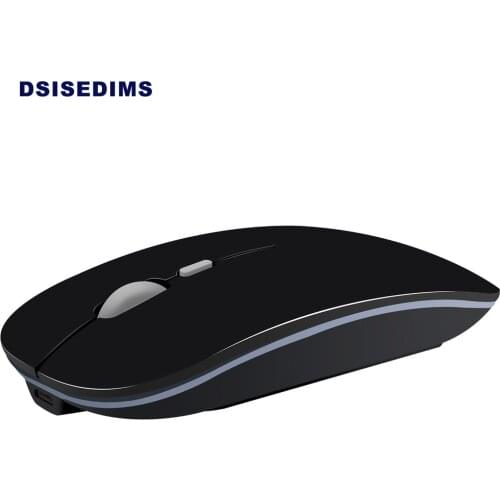 DSISEDIMS Computer Mice