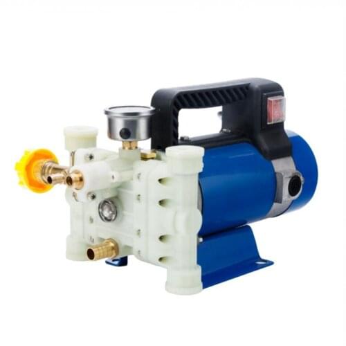 Agricultural Electric Pesticide Fruit Tree Sprayer 12V V High Pressure Double Cylinder Piston Pump