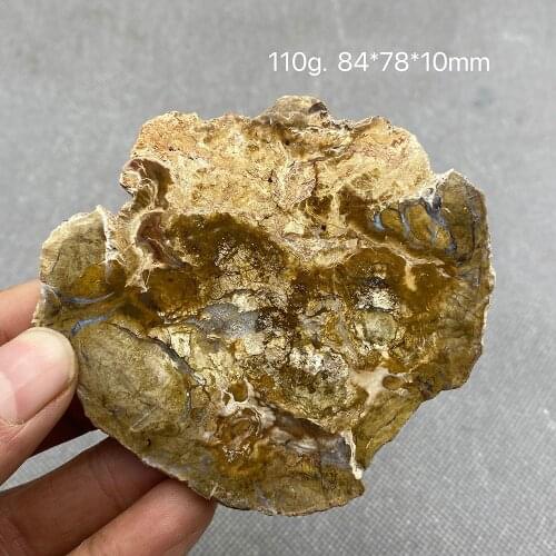 Big 100% Natural Paleontological Fossil Tree Fossil Decoration Silicified Wood Tree Jade Tea Cup Mat Fossil mineral Specimen