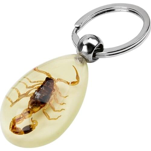 LEEPEE Key Holder Handbag Wallet Pendant Creative Scorpion Keychain Scorpion Amber Pendant Car-styling Noctilucent Car Keyring