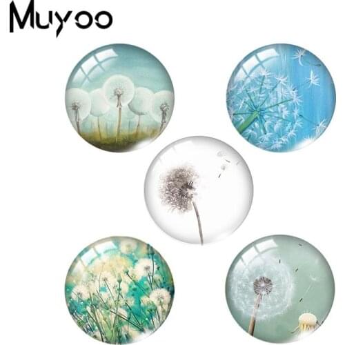 2019 New Dandelion Glass Dome Cabochon Art Handmade Jewelry Dandelions Seeds Glass Cabochons