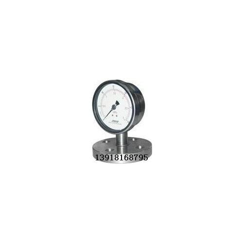 Flange type anti vibration diaphragm pressure gauge PT124Y-624