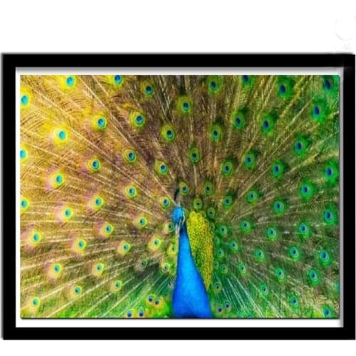 Full Square / Round Diamond 5D DIY Diamond Painting "The peacock 3D lEmbroidery Cross-stitch Mosaic Home Decoration Gift