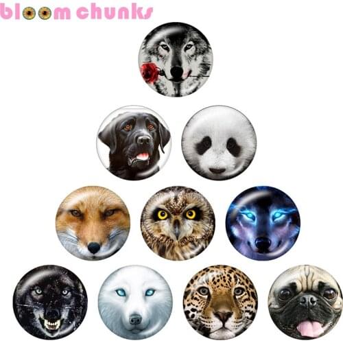 Animal Wolf fox dog 12mm/18mm/20mm/25mm Round glass cabochon flat back Making snap button jewelry S4473