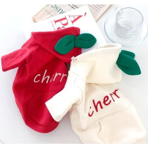 Dog Hoodie Coat Winter Pet Clothes Yorkshire Pomeranian Puppy Apparel Outfit Small Dog Costume Garment Terriers Poodle Clothing