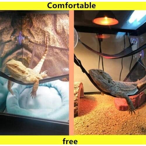 Reptile Hammock Lounger Ladder Accessories Set For Large Small Bearded Dragons Anole Geckos Lizards Or Snakes (19×13