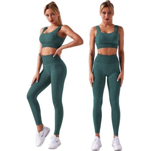 Seamless Women Gym Set Leopard Printed 2Pcs Yoga Suit Sports Bra with High Waist Tight Long Pants Fitness Sport Workout Suits