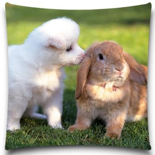 White dog and a rabbit Throw Pillows Case Cotton Polyester for Sofa Car Cotton Cushion Cover Creative Decoration 5 size