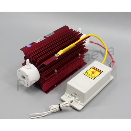 Pinus longaeva 10G/H 10grams ozone generator Kit corona discharge ozone water purifier AC220V AC110V DC12V DC24V