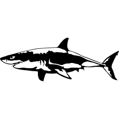 15cm x 5.6cm Great White Shark Vinyl Decal Car Window Wall Laptop Bumper Novelty Sticker Fish Jaws 13 Colors
