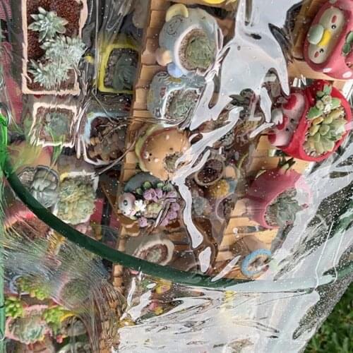 Thick 0.3mm Transparent PVC Rainproof Cloth Balcony Bonsai Succulent Plants Keep Warm Tarpaulin Pet Dog House Cover Waterproof