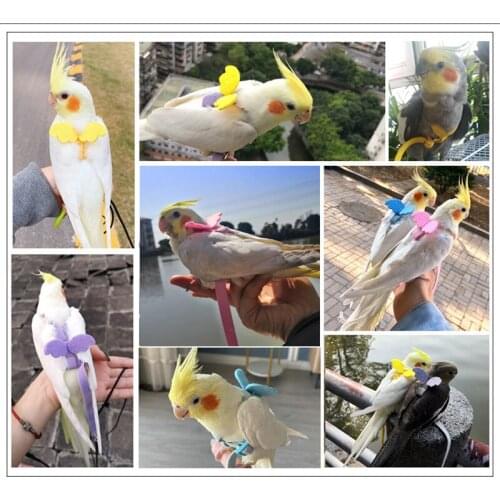 Parrot Harness And Leash Set Adjustable Outdoor Flying Training Rope With Wing For Small Medium Birds Cockatiel, Macaw, Budgie