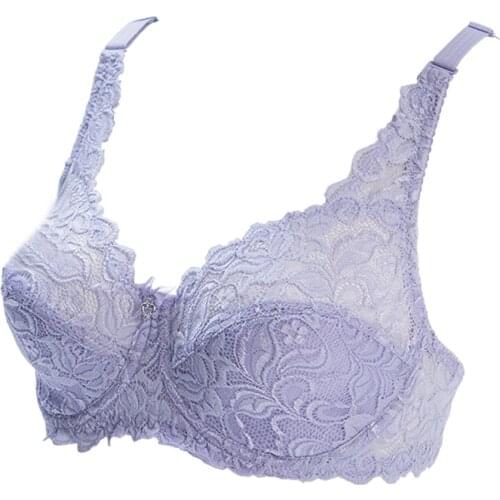 Sexy Lace Ultra-Thin Bras Summer Breathable Push Up Lingerie Womens D Cup Bralette Soft Underwear Underwire Brassiere Intimates