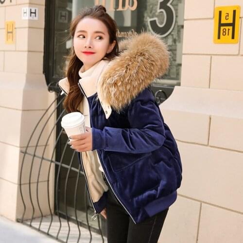 BSLBCNA Women's Down Jackets With Fur