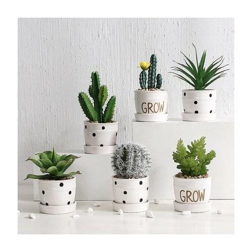 Nordic Simulation Plant Cactus Ornaments Creative Succulent Potted Ins Decorative Green Plant Fake Flower Desktop Small Bonsai
