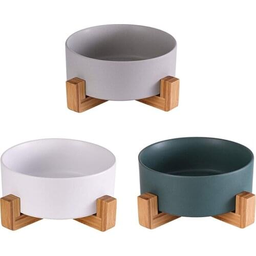 Cat Bowls, Kitten Bowl for Food and Water, Raised Ceramic Cat Food Bowl to Protect Pet' Spine, with Wood Stand