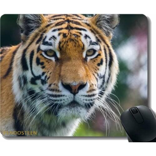 Custom Original Mouse Pad,Tiger Predator Big Cat 161214 Non-Slip Rubber Base Mousepad