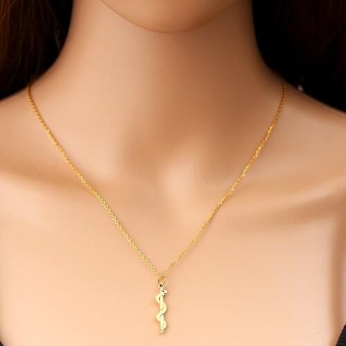 Snake Pendant Symbol Necklace Stainless Steel Gold Chain Caduceus Necklaces for Best Doctor/Nurse Science/Women Fashion Jewelry