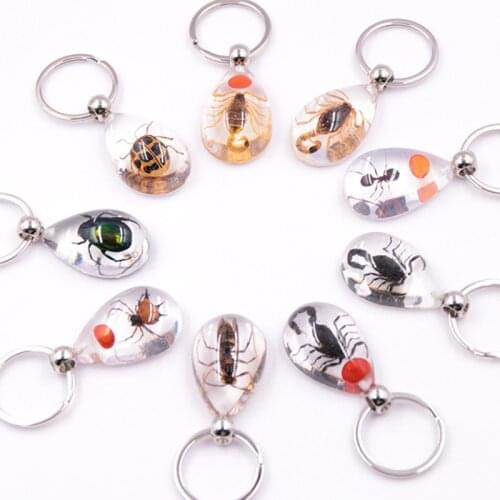 New Transparent Insect Keychain Insect Keychain Real Insect Specimen Party Gift Pendant