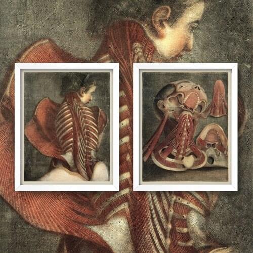 His and Hers Cadavers • Antique Anatomy Wall Art • Prints • Vintage Medical Diagrams Charts Goth Art Diptych