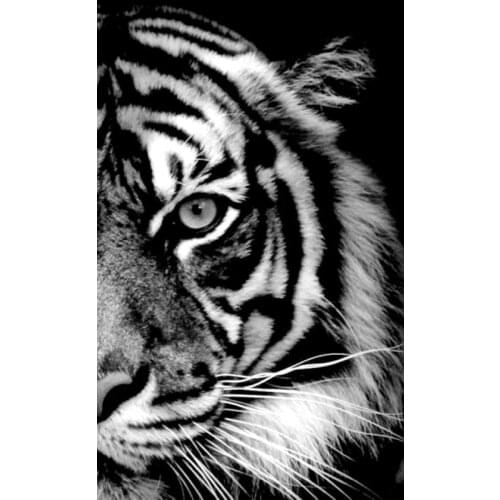 DIY 5D Diamond Painting By Number Kits Black White Tiger Crystal Rhinestone Embroidery Pictures Arts Craft For Home Wall Decor