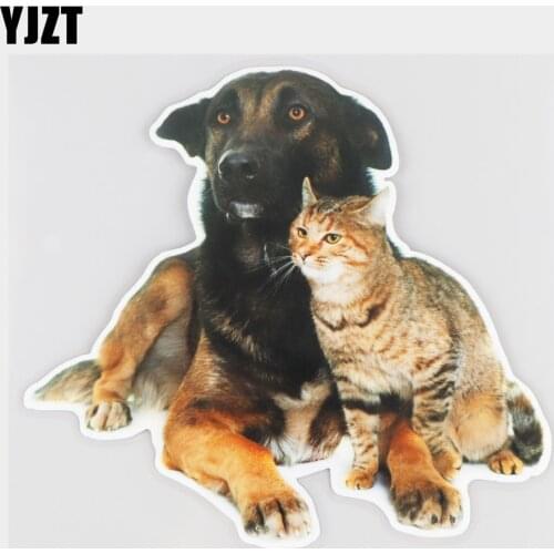 YJZT 17.4×15.9CM Shepherd Tabby Cat Animal Vinyl Decals Funny Body Decoration Car Stickers 21A-0971