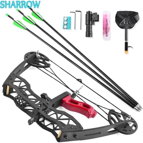 25lbs Compound Bow Mini Pulley Bow Right Left Hand with 3 Arrows Beginner Outdoor Archery Hunting Fishing Shooting Accessories