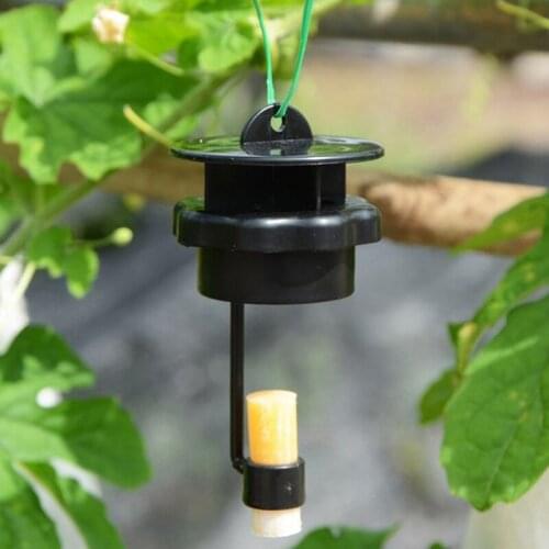 Fruit Fly Trap Killer Plastic Drosophila Trap Fly Catcher With Attractant