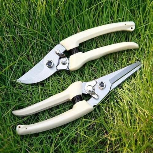 NianLenss Secateurs