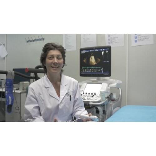 Запчасти для инструментов Amain China At AliExpress