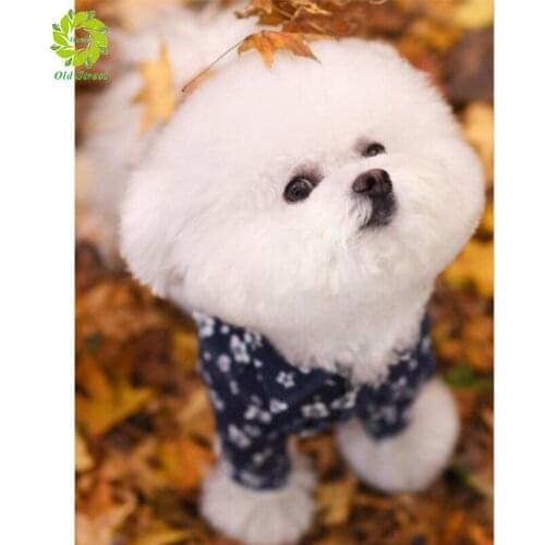 Old Street Home Diamond Painting Cross Stitch Diamond Embroidery Animals 5D DIY Mosaic Full Drill Decoration Home