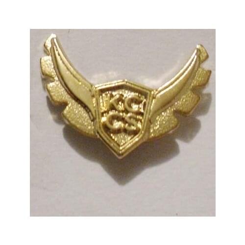 Custom Flying Wing Logo Lapel Pin
