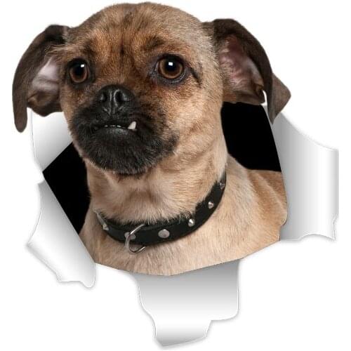 Three Ratels 3D Dog Stickers Super Staffie decal on Wall Fridge Toilet car bike