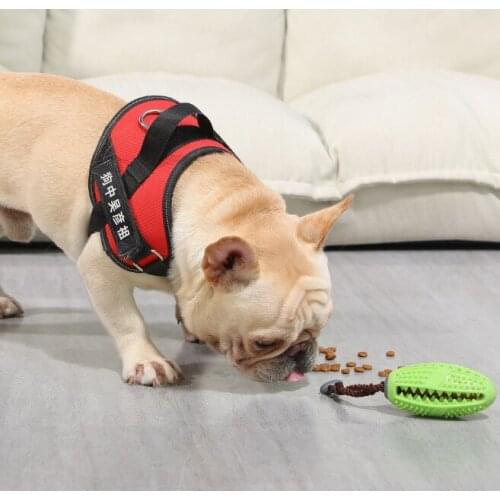 Pet Dog Toys Toy Funny Interactive Elasticity Ball Dog Chew Toy For Dog Tooth Clean Ball Of Food Extra-tough Rubber Ball