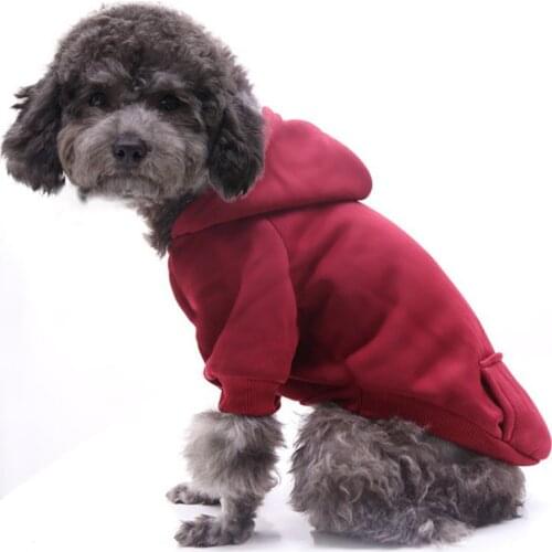 Pet Coat Autumn Winter Dinosaur Egg Jacket Cats And Dogs Plus Plush Hats Pocket Hoodie