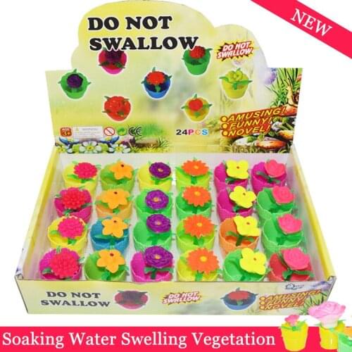 Magic Plant Flowers Growing In Water Flower-Cactus Toys Soaking Expansion Can Grow Expand Water Absorption Children Toys