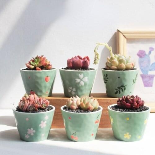 Hand Painted Fleshy Flowerpot Small Quexing Series Plant Container Green Lovely Office Desktop Potting Succulent Planter