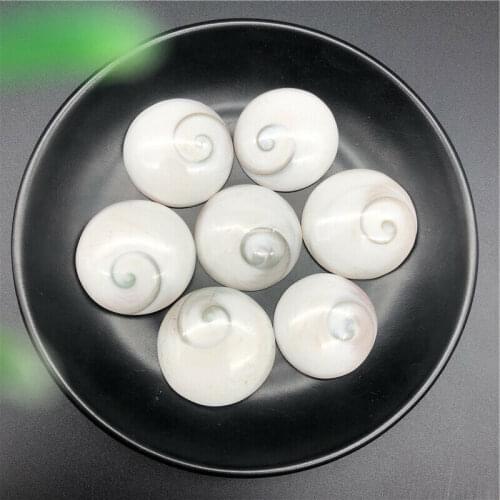 1PC Natural Round Shaped Sun Shell DIY Mineral Healing Stones Decor Crafts Natural Stones and Minerals