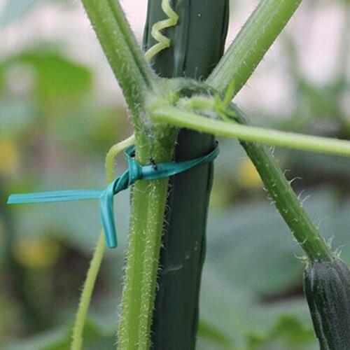 50/100/200Pcs Plant Ties Labor-saving High Tenacity Iron Flower Wire PVC Practical Stem Cable Tie for Greenhouses Garden Tool