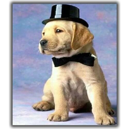 3D Diy Diamond Painting Cross Stitch Wearing Hat & Bowling Dog Needlework Diamond Embroidery Full Round Mosaic Decoration Resin