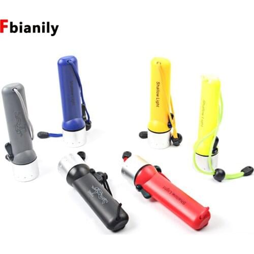 LED Flashlights Fbianily China