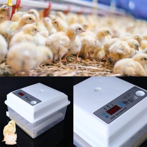 220V Eggs Incubator Brooder Automatic Farm Incubation Tools Bird Quail Chick Hatchery Poultry Hatcher Turner