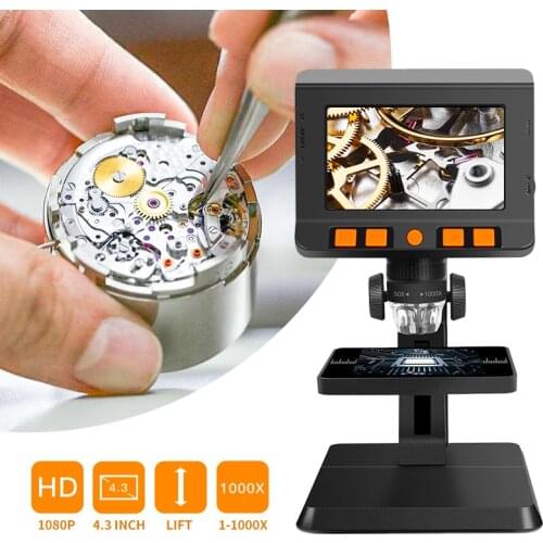 Jingleszcn Running Shoes