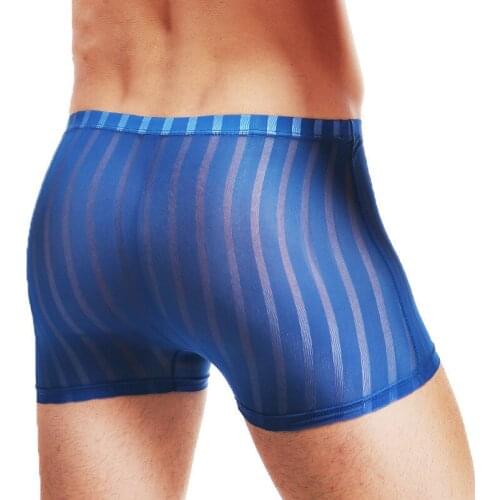 Sexy Underwear Mens Boxers Homme Ultra Thin Transparent Ice Silk Male Underpants Mens Panties Gay Penis Summer Solid Plus Size