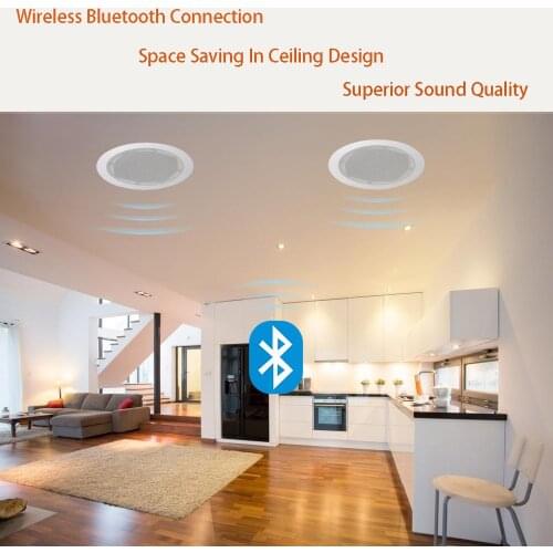 Ben & Fellows Ceiling Speakers