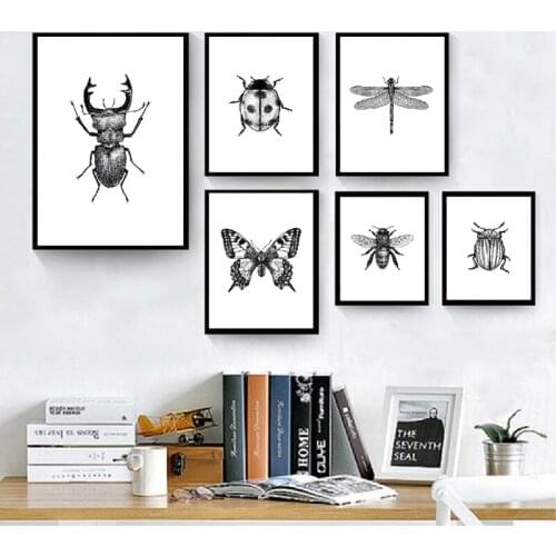 Animal Illustration Black and White Wall Art Canvas Painting Butterfly Bee Prints Insect Poster Wall Pictures Home Cuadros Decor